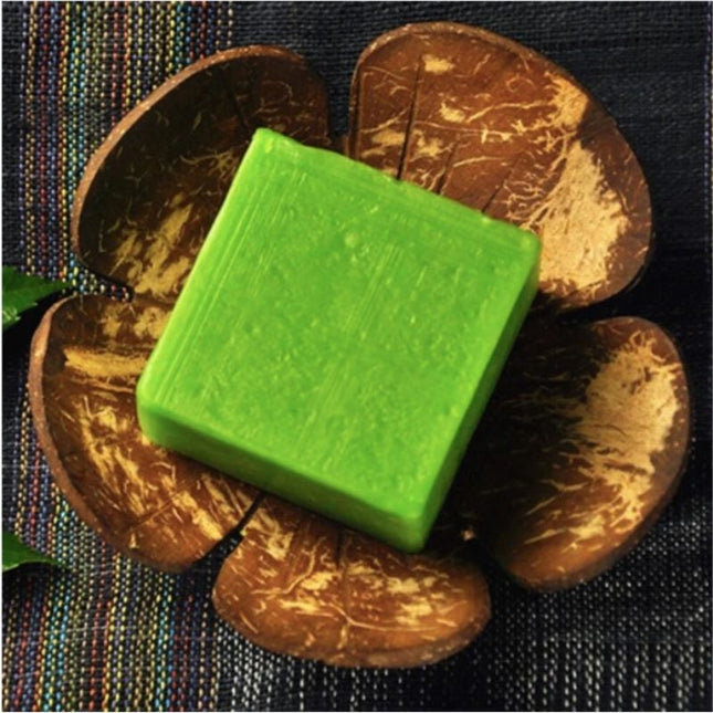 Naturlig såpeskål av ekte kokosnøtt