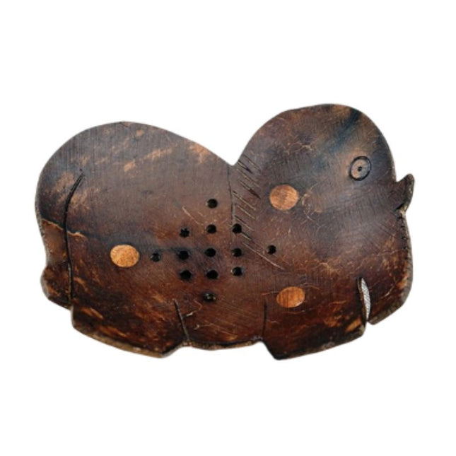 Unik såpekopp av kokosnøtt, elefantformet